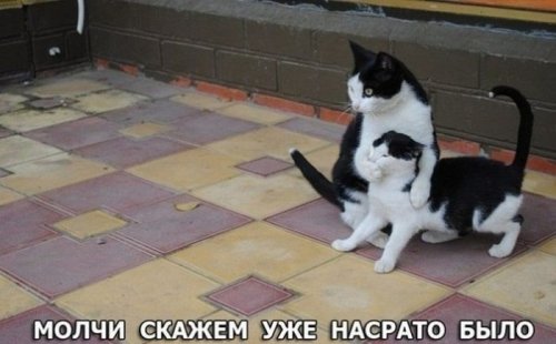 1381823664_prikoly-27-1
