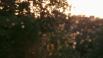 DSCF3830гиф1-
