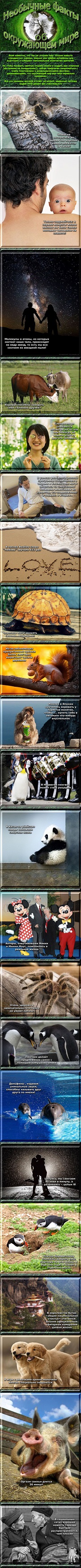 1382339931_13470815192