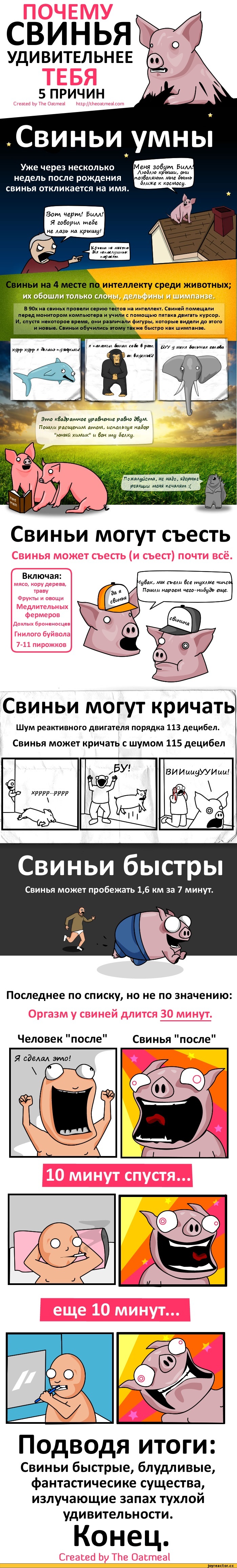 4440085717541_theoatmeal474250
