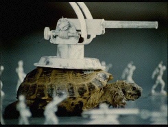 Tortoise