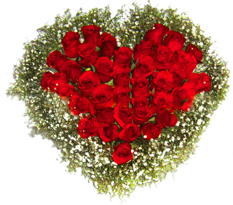 val-rose2