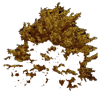 treeyellowlush2