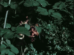 итог