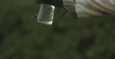 bottle