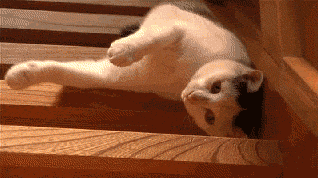 funny-gif-falling-stairs-no-problem