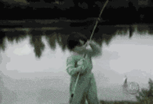 201305231156_1369328200.1932848