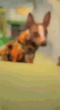 1389818259_1719828285