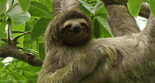 1340951918_gifs_08_yapfiles_ru