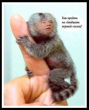 0_74563_a2750cc5_orig