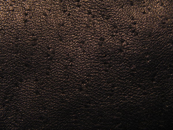 Black-Leather2-by-Hjoranna