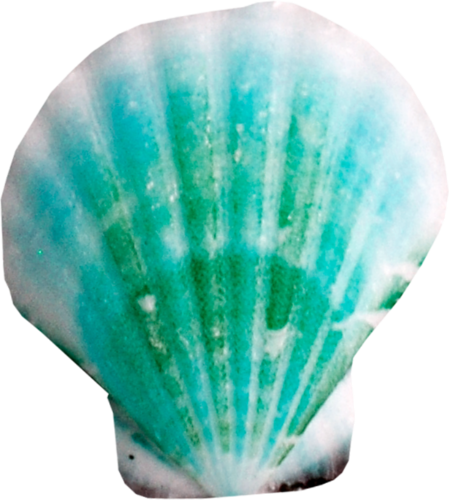 0_8f19c_49ab5a3a_L