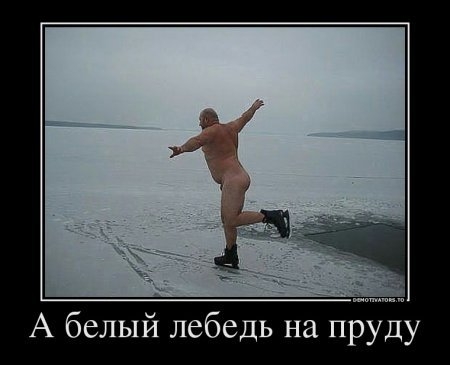 109192143_f121f8a0fa77e1dd04c5c39dd6b37859_97192
