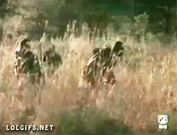 1391603895_705703020