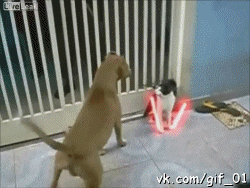 Podpishis_gif_01