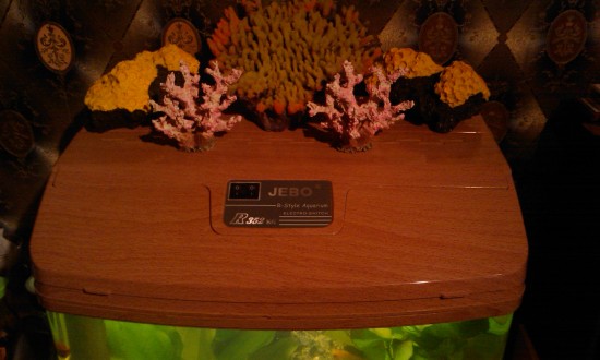 IMAG0092