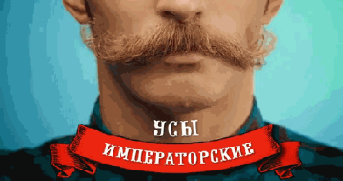 0_b8f8a_b6b1fbf2_L