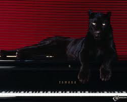 images (9)