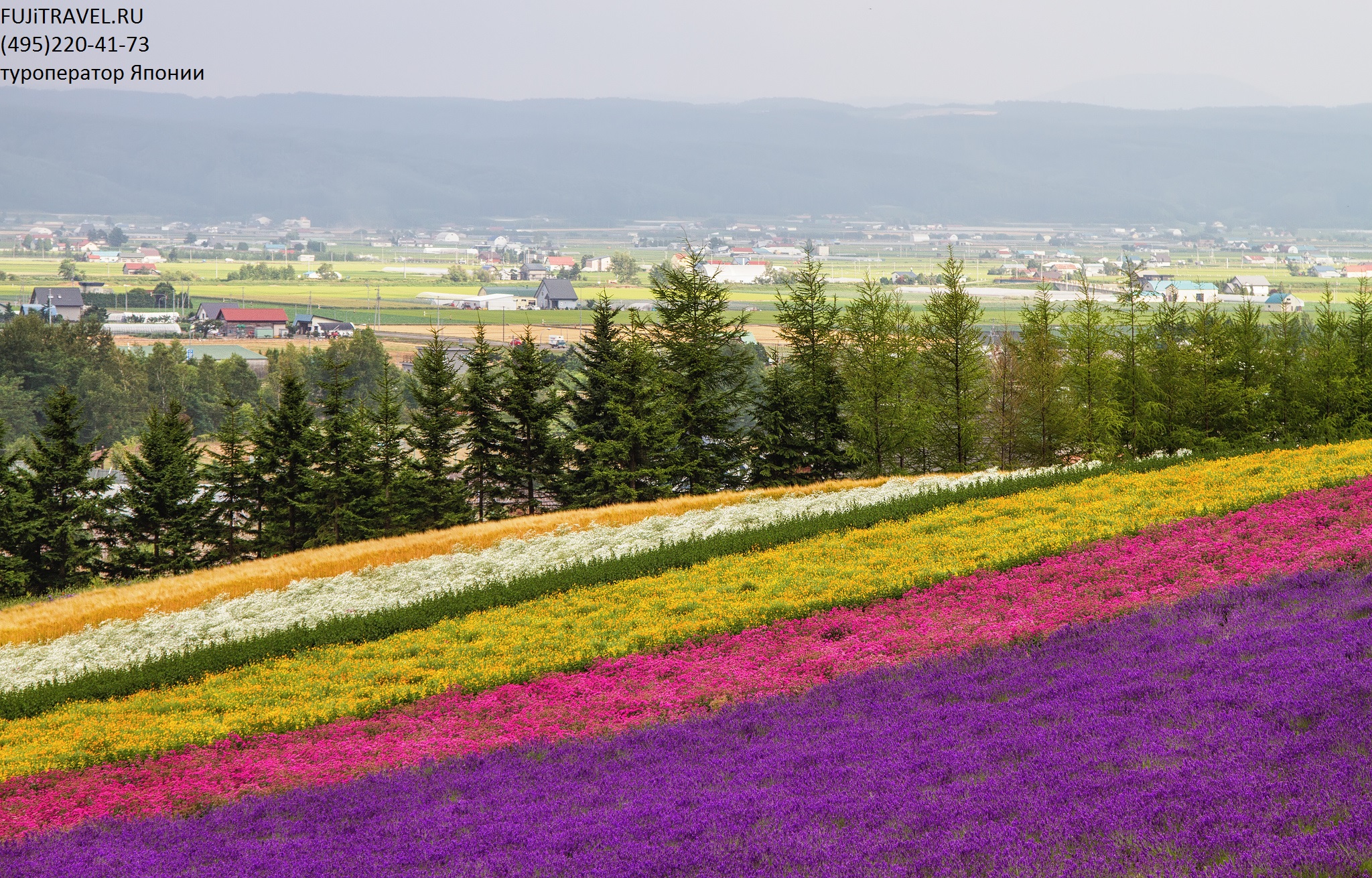 Фурано. Хоккайдо. Япония