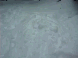 gifs_19