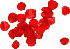 0_b5ba1_27b9dfa4_L123123