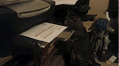 file1273