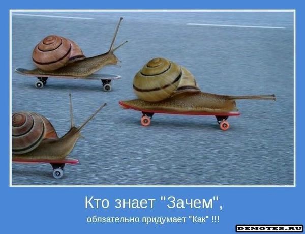 110758352_1368686216_wwwradionetplusru13