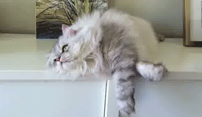 gifs_03