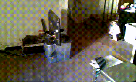 gifs_24