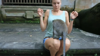 gifs_01