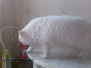 5e4ad625427cbbdb88e94f040adaa2d0_yapfiles.ru