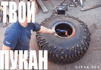 tvoy_pukan