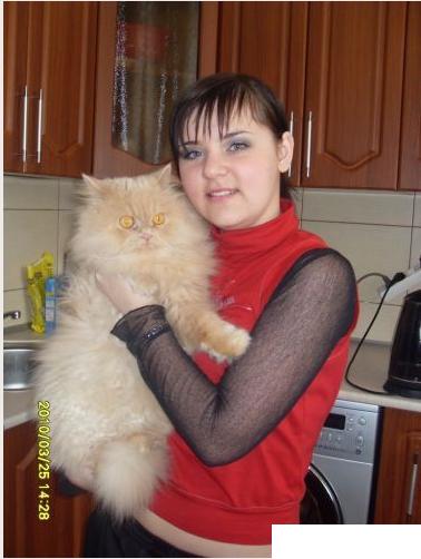 cat
