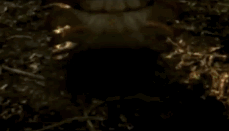 monstri_13