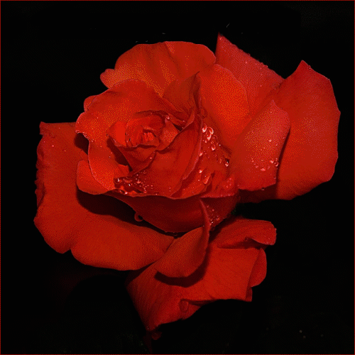 0_7d9f3_1f5fef2_L