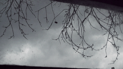 DSCF5158