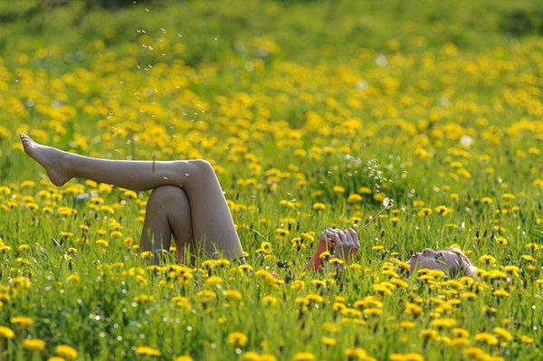 девушка на лугу