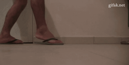 gif-hedgehog-animals-814268