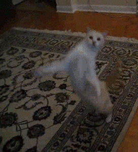 gifs_01