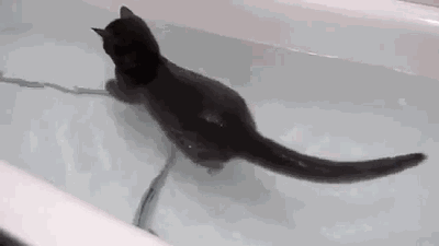 9053