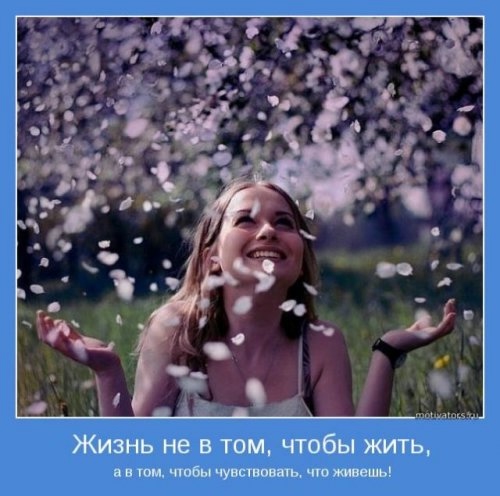 111486900_large_1368762595_wwwradionetplusru7