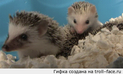 1395820739-7e3c85183864efdbfeb724883185de67