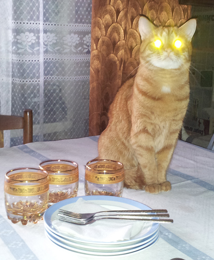 Рыжий