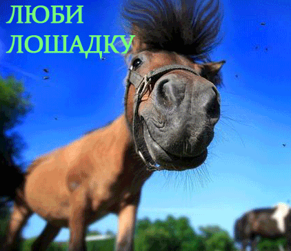 101357leproithumbnai