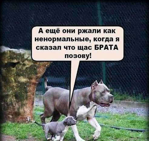 :))