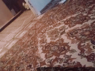 GIF-(106)