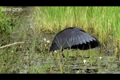 1396510429_1146993057