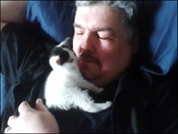 gifs_10