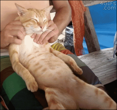anigif_enhanced-buzz-25158-1381844793-0