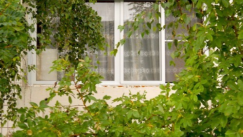 0_84088_6d944b59_-1-L окно